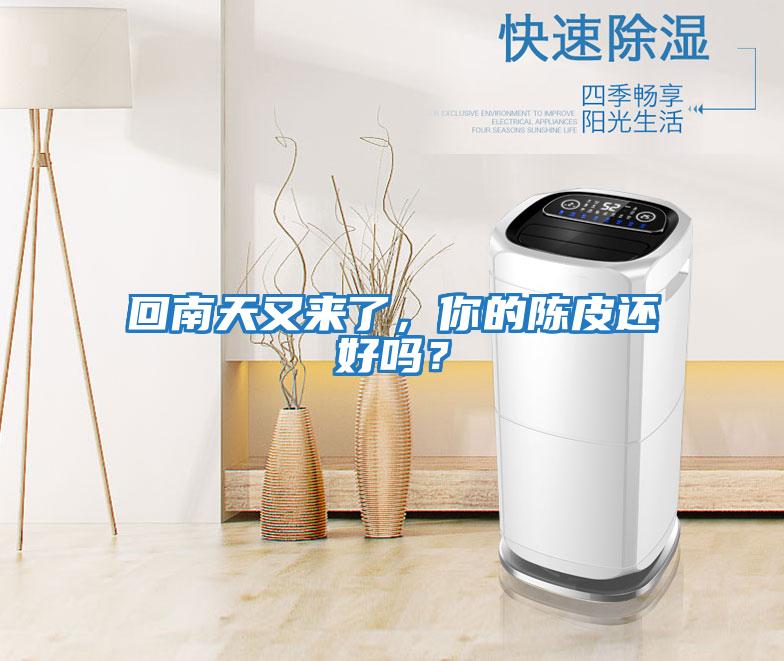 回南天又來了,你的陳皮還好嗎?