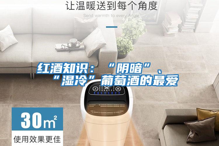 紅酒知識:“陰暗”、“濕冷”葡萄酒的最愛