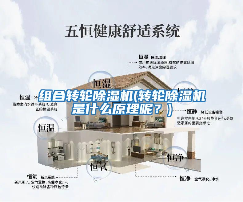 組合轉輪除濕機(轉輪除濕機是什么原理呢？)