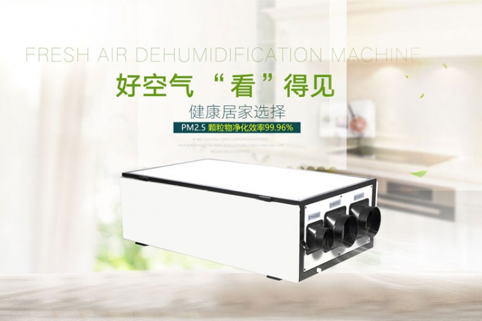 高溫烘干型除濕機(jī)，讓掛面烘干變的更簡(jiǎn)單--高溫除濕機(jī)專(zhuān)題