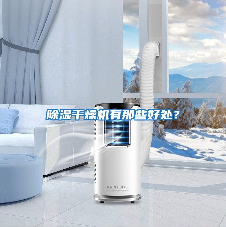 除濕干燥機(jī)有那些好處?