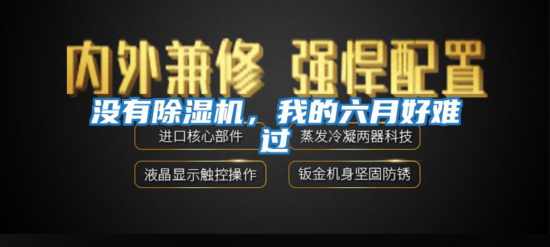 沒有除濕機，我的六月好難過
