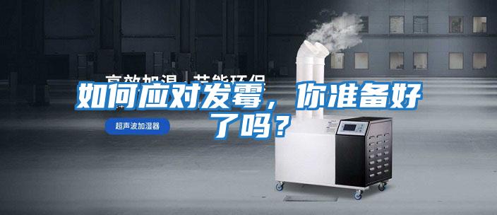 如何應對發霉，你準備好了嗎？