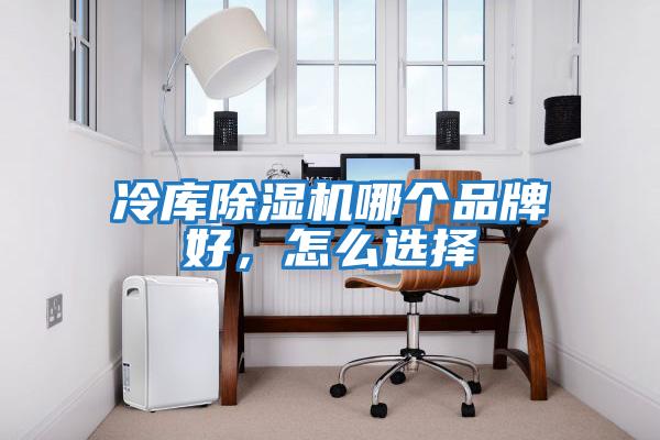 冷庫除濕機哪個品牌好，怎么選擇