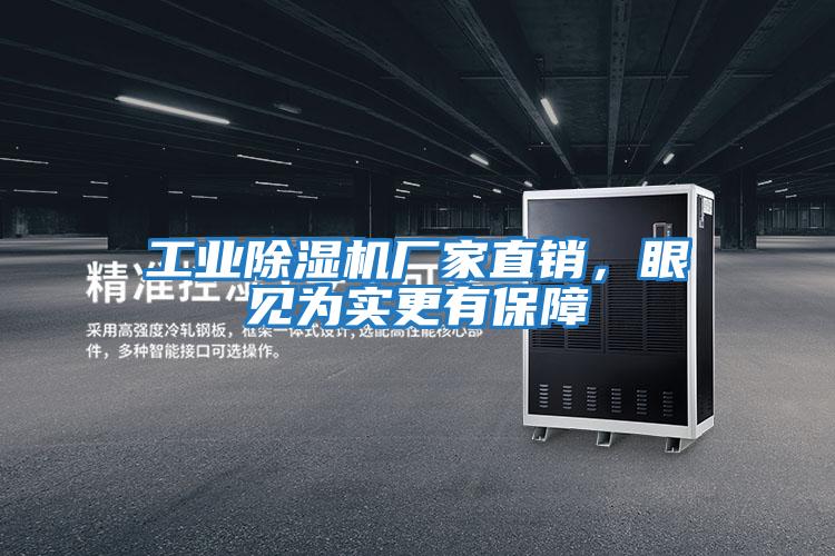 工業(yè)除濕機廠家直銷，眼見為實更有保障