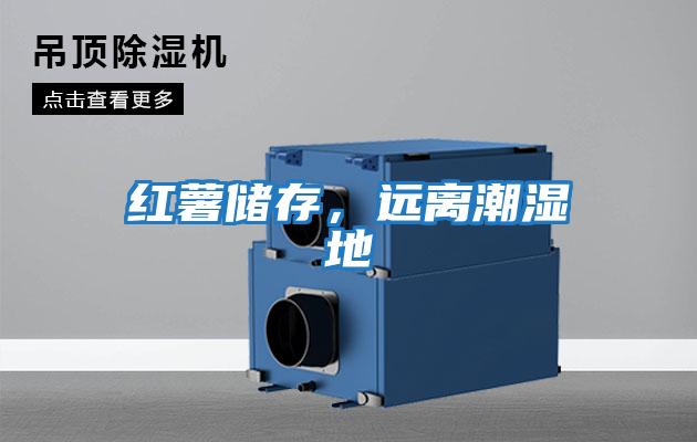 紅薯儲存,遠離潮濕地