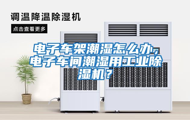 電子車架潮濕怎么辦,電子車間潮濕用工業除濕機?
