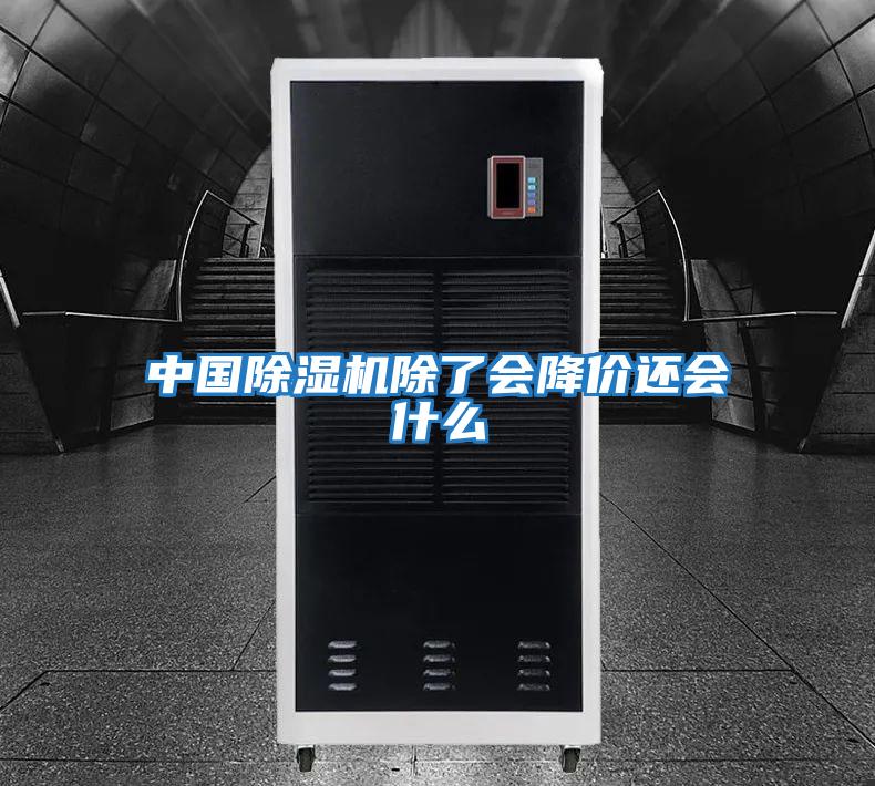 中國除濕機(jī)除了會降價還會什么