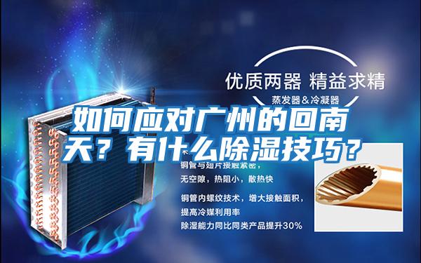 如何應(yīng)對(duì)廣州的回南天？有什么除濕技巧？