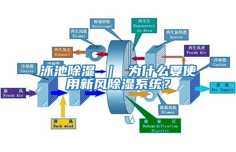 泳池除濕 | 為什么要使用新風除濕系統?