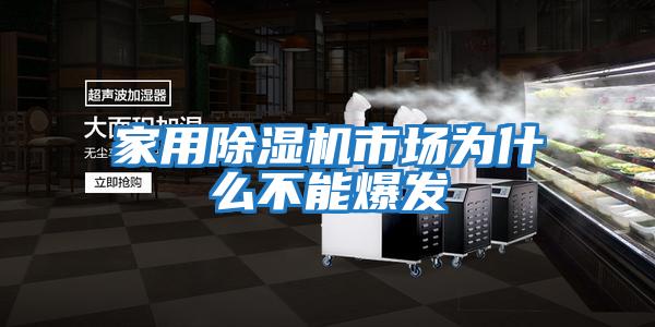 家用除濕機市場為什么不能爆發(fā)