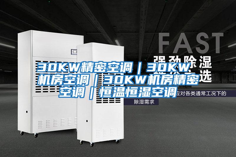 30KW精密空調|30KW 機房空調|30KW機房精密空調|恒溫恒濕空調
