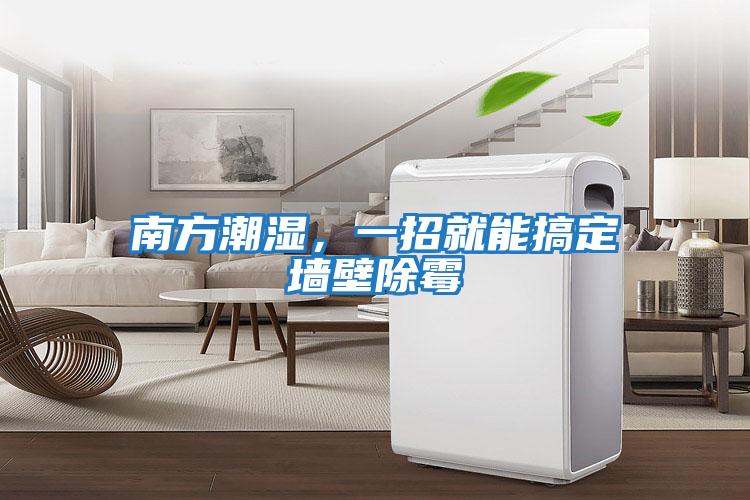 南方潮濕,一招就能搞定墻壁除霉