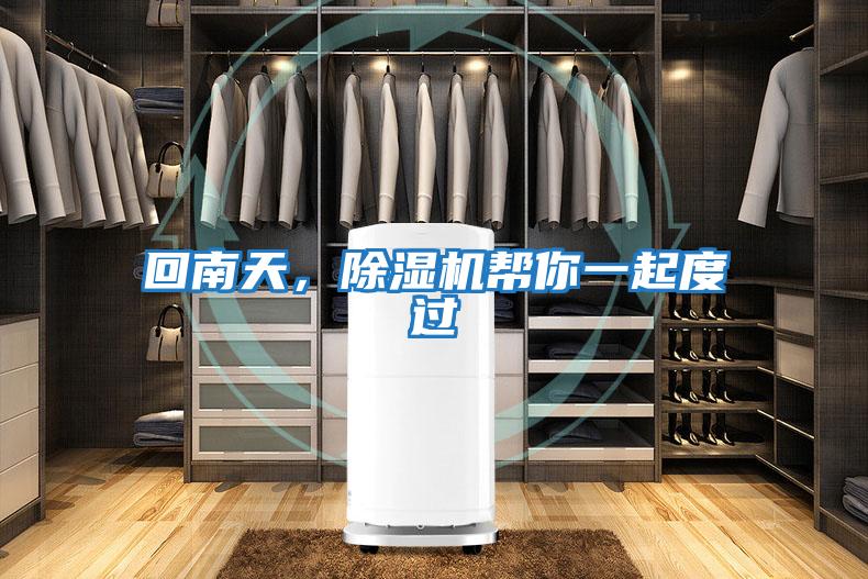 回南天，除濕機幫你一起度過