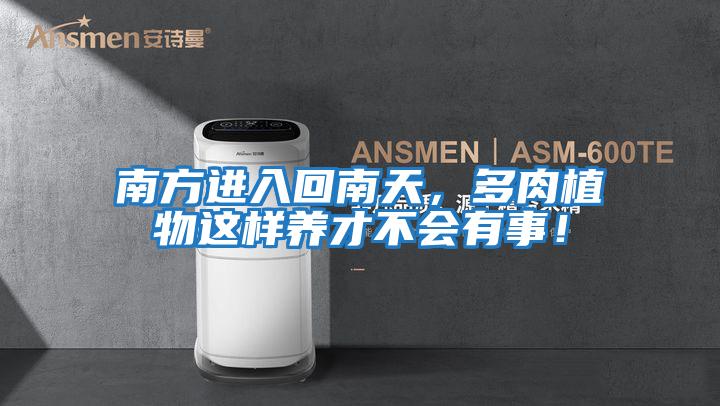 南方進入回南天,多肉植物這樣養才不會有事!