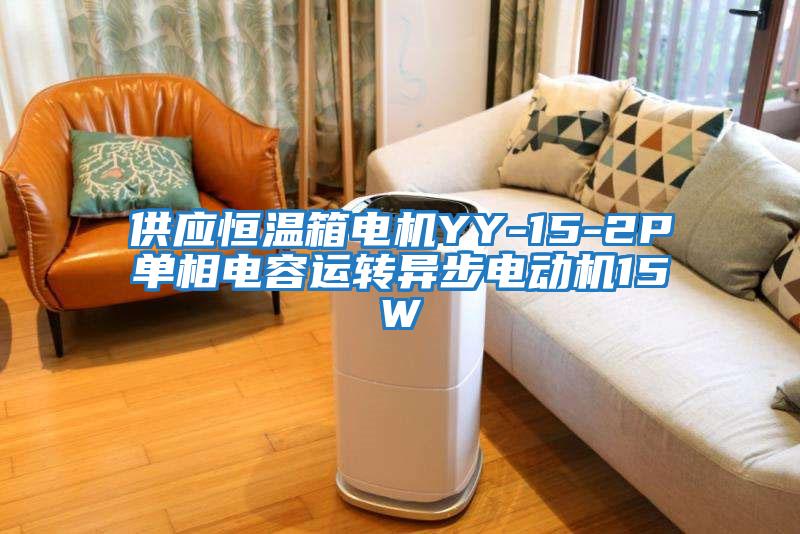 供應恒溫箱電機YY-15-2P單相電容運轉異步電動機15W