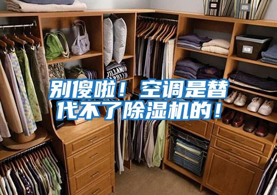 別傻啦！空調是替代不了除濕機的！