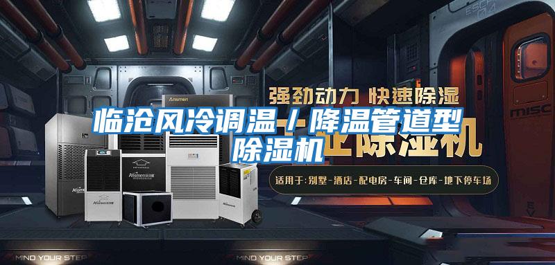 臨滄風(fēng)冷調(diào)溫/降溫管道型除濕機(jī)