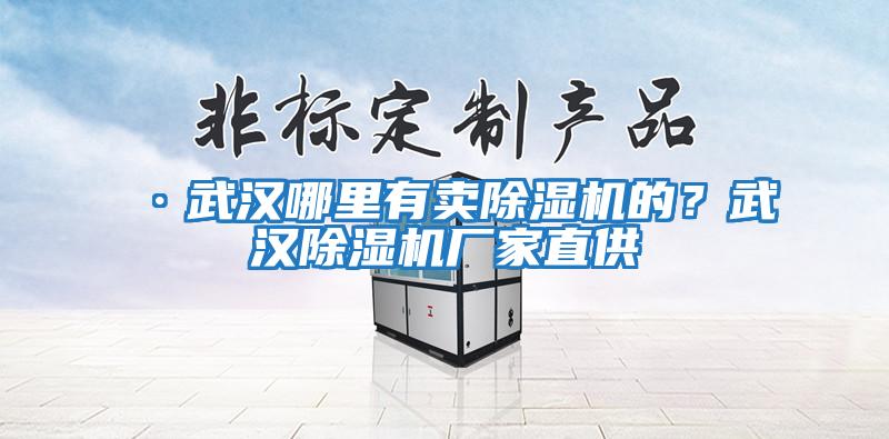 ·武漢哪里有賣除濕機的？武漢除濕機廠家直供