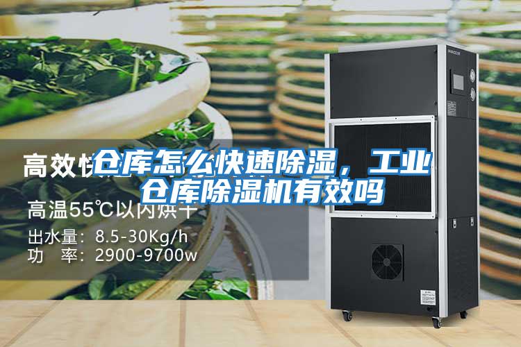 倉庫怎么快速除濕,工業(yè)倉庫除濕機有效嗎