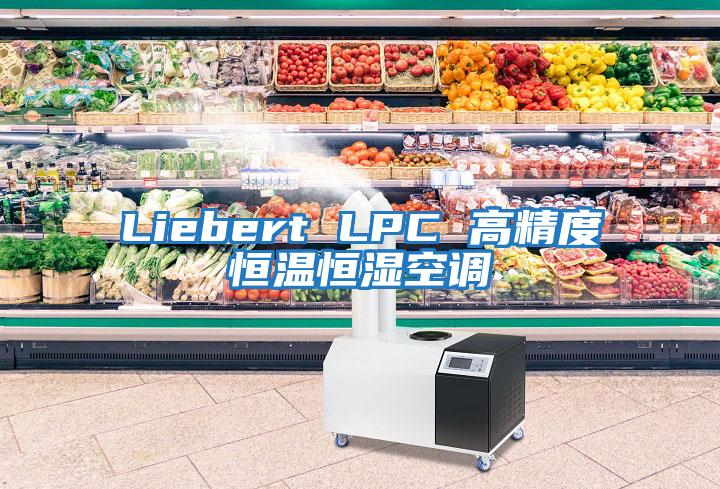 Liebert LPC 高精度恒溫恒濕空調