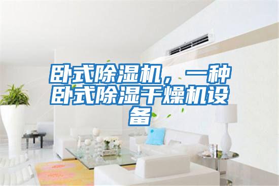 臥式除濕機(jī),一種臥式除濕干燥機(jī)設(shè)備