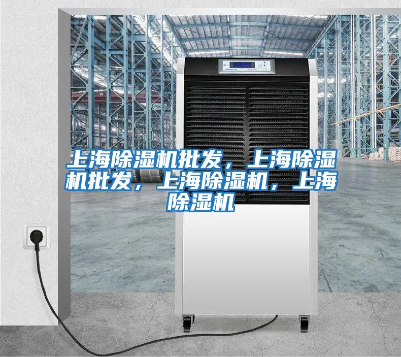 上海除濕機批發,上海除濕機批發,上海除濕機,上海除濕機
