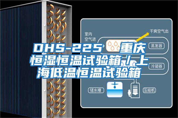 DHS-225 重慶恒濕恒溫試驗(yàn)箱/上海低溫恒溫試驗(yàn)箱