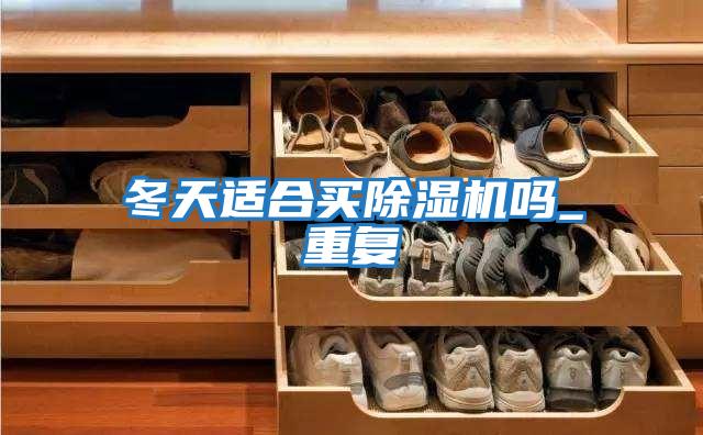冬天適合買(mǎi)除濕機(jī)嗎_重復(fù)