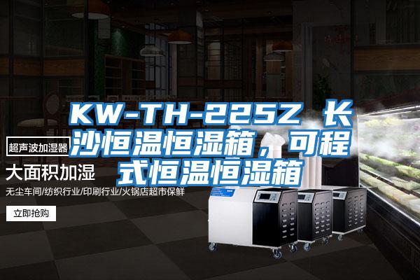 KW-TH-225Z 長沙恒溫恒濕箱，可程式恒溫恒濕箱