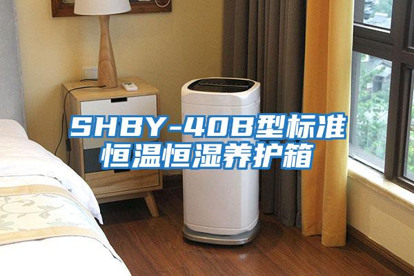 SHBY-40B型標準恒溫恒濕養護箱