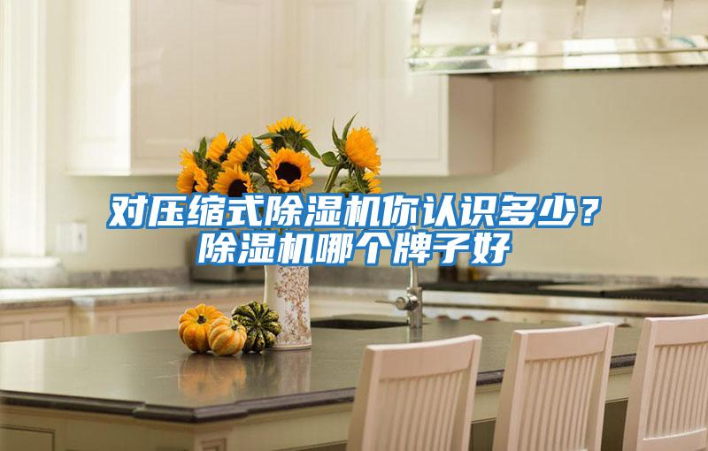 對壓縮式除濕機(jī)你認(rèn)識多少？除濕機(jī)哪個(gè)牌子好
