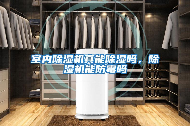室內除濕機真能除濕嗎,除濕機能防霉嗎