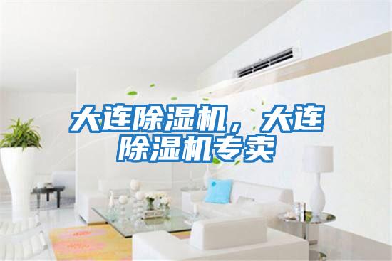 大連除濕機(jī)，大連除濕機(jī)專賣(mài)
