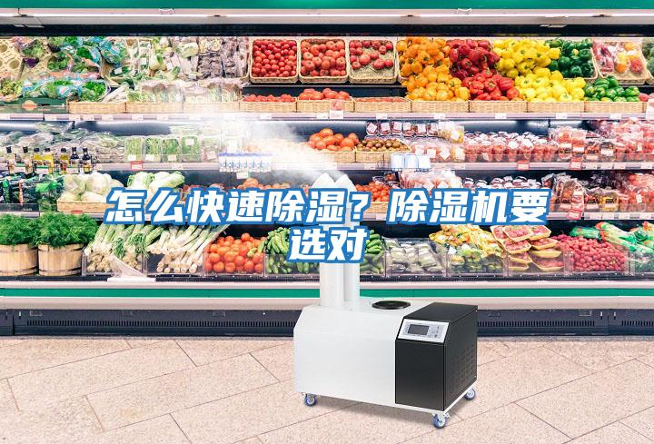 怎么快速除濕？除濕機要選對