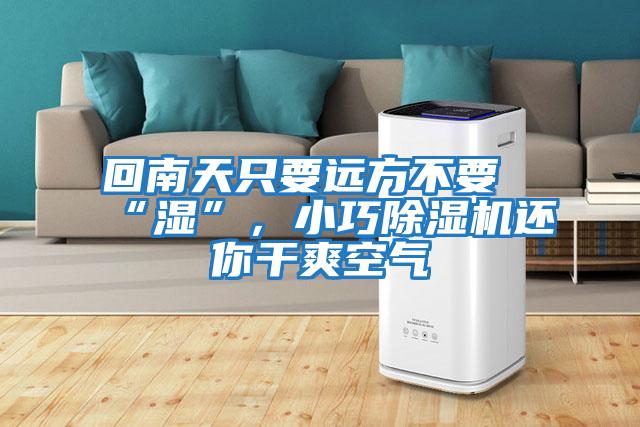 回南天只要遠方不要“濕”,小巧除濕機還你干爽空氣