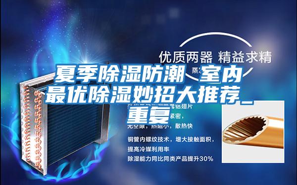 夏季除濕防潮 室內最優除濕妙招大推薦_重復