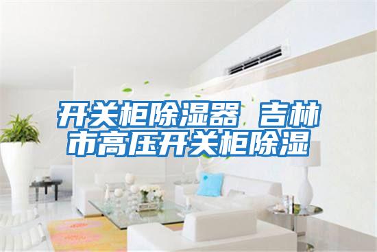 開關柜除濕器 吉林市高壓開關柜除濕