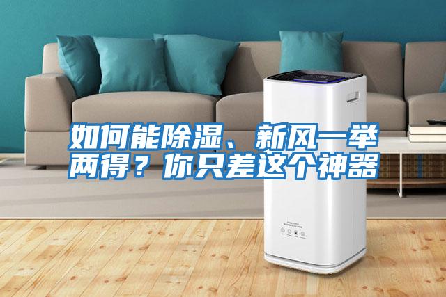 如何能除濕、新風一舉兩得？你只差這個神器