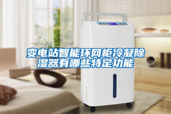 變電站智能環網柜冷凝除濕器有哪些特定功能