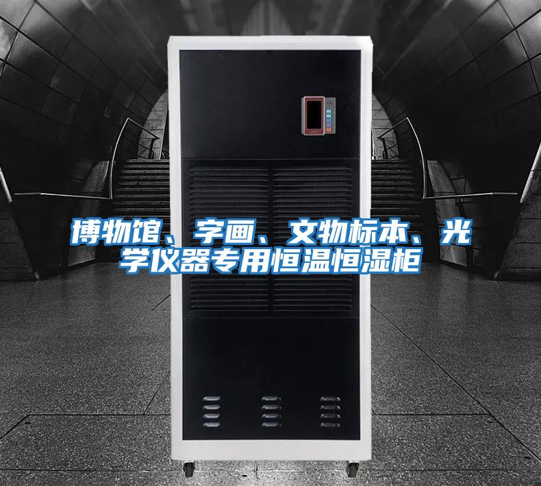 博物館、字畫、文物標(biāo)本、光學(xué)儀器專用恒溫恒濕柜