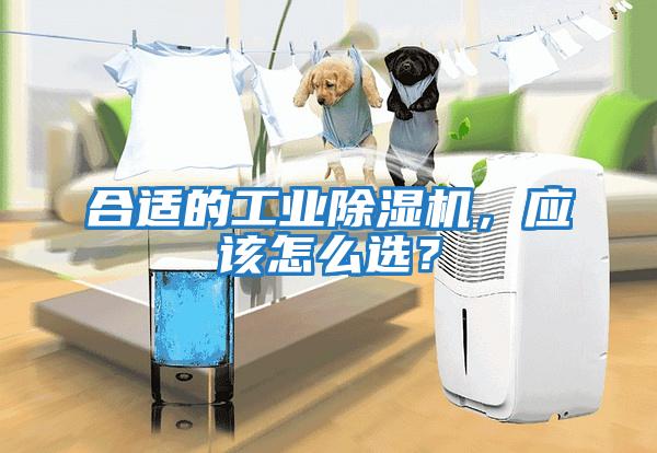 合適的工業除濕機，應該怎么選？