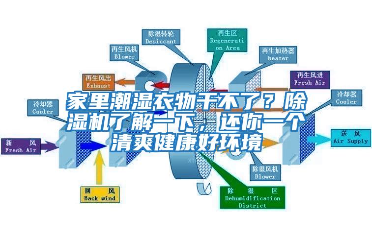 家里潮濕衣物干不了？除濕機了解一下，還你一個清爽健康好環境