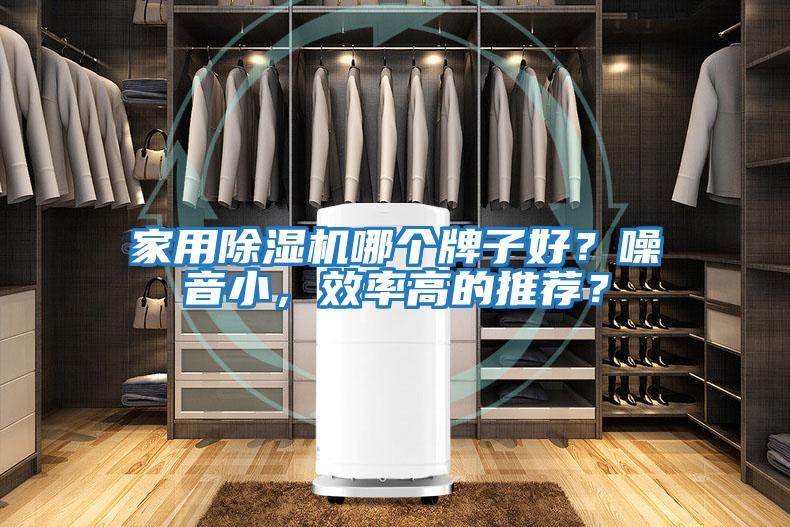 家用除濕機(jī)哪個(gè)牌子好？噪音小，效率高的推薦？