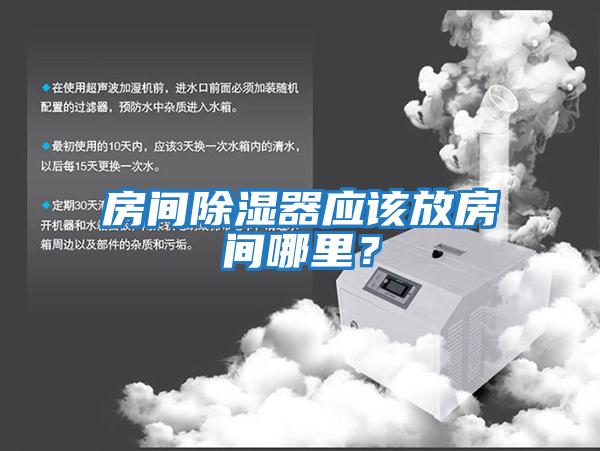 房間除濕器應該放房間哪里?