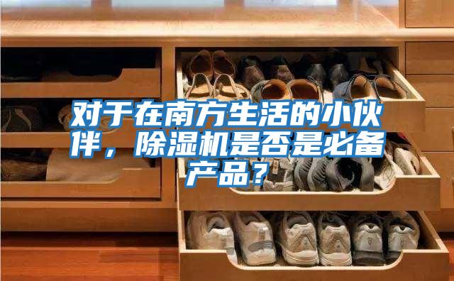 對于在南方生活的小伙伴，除濕機是否是必備產品？