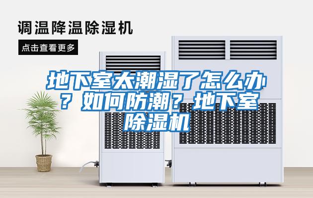 地下室太潮濕了怎么辦？如何防潮？地下室除濕機