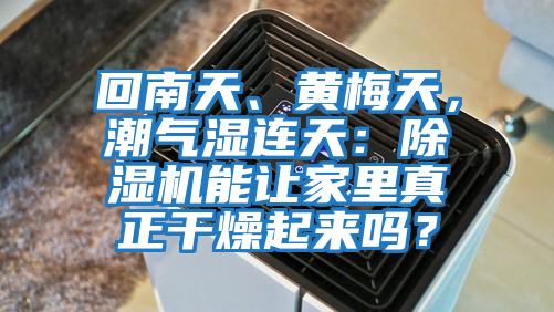 回南天、黃梅天,潮氣濕連天:除濕機(jī)能讓家里真正干燥起來(lái)嗎?