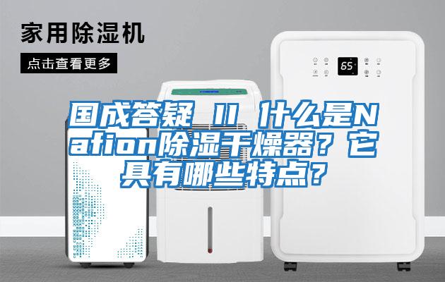 國成答疑 II 什么是Nafion除濕干燥器？它具有哪些特點？