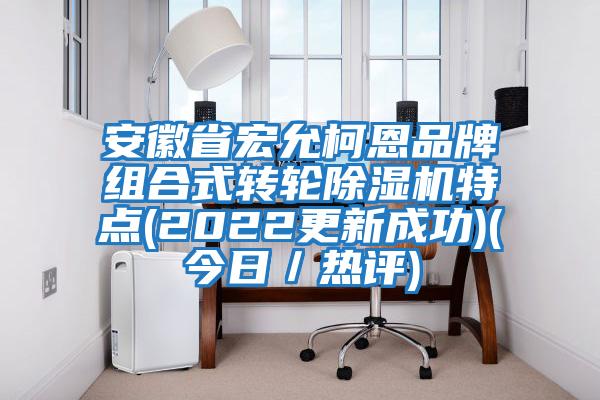 安徽省宏允柯恩品牌組合式轉輪除濕機特點(2022更新成功)(今日／熱評)